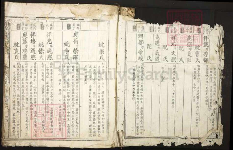 江西省赣州市信丰县郑氏族谱-信邑芹采郑氏四修族谱.pdf电子版预览图2