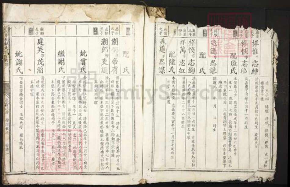 江西省赣州市信丰县郑氏族谱-信邑芹采郑氏四修族谱.pdf电子版预览图3