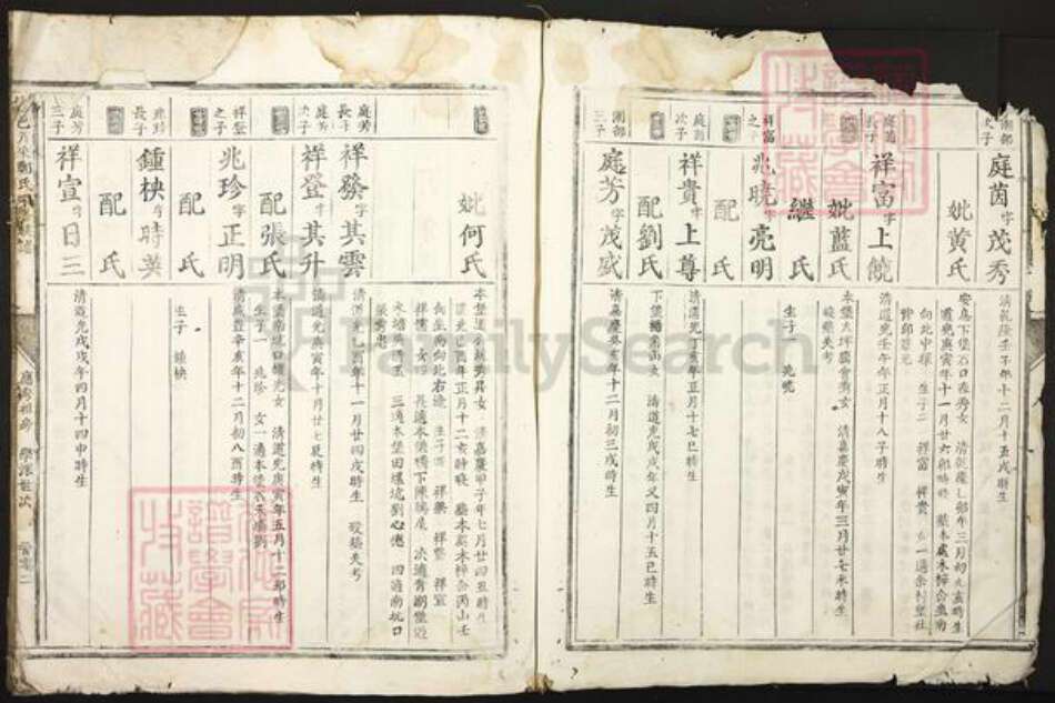 江西省赣州市信丰县郑氏族谱-信邑芹采郑氏四修族谱.pdf电子版预览图4