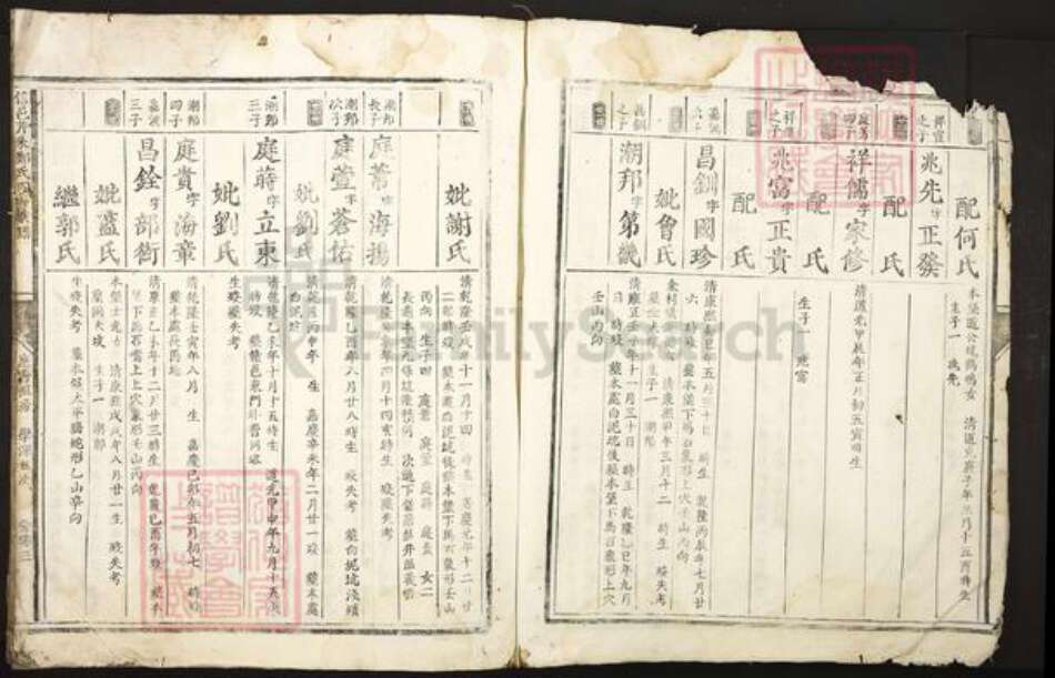 江西省赣州市信丰县郑氏族谱-信邑芹采郑氏四修族谱.pdf电子版预览图5