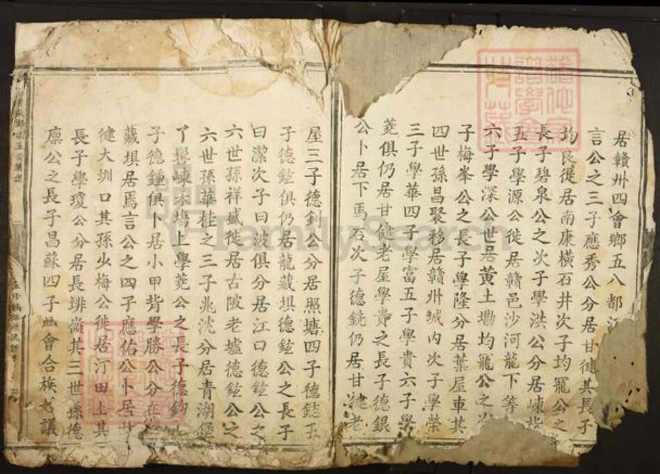 江西省赣州市郑氏族谱-信邑芹采郑氏五修族谱.pdf电子版预览图2