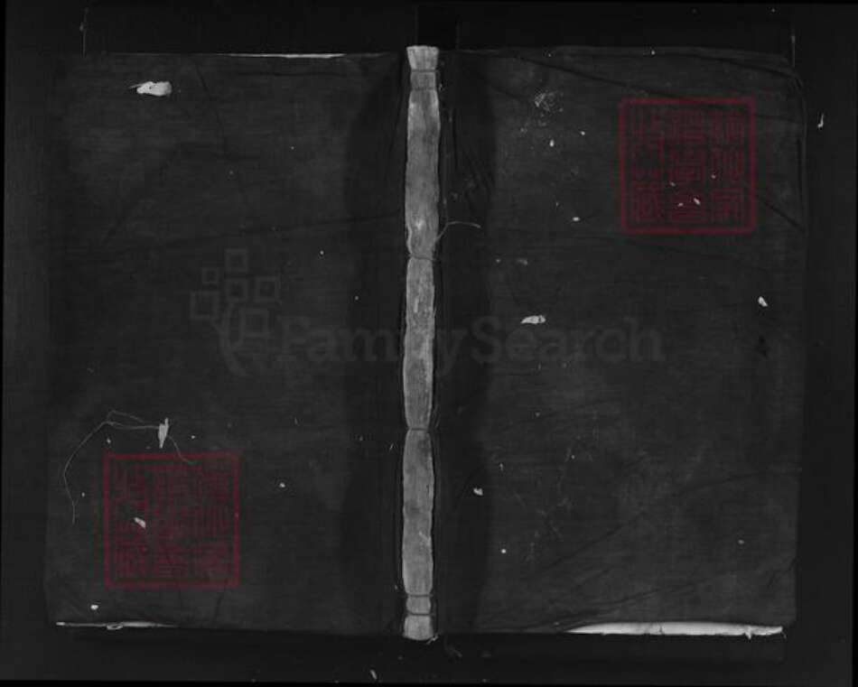 浙江省丽水市遂昌县郑氏族谱-瓦窑冈郑氏宗谱.pdf电子版缩略图