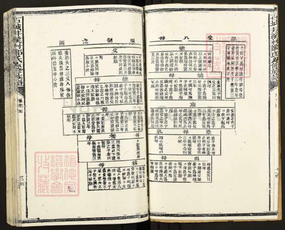 江西省赣州市石城县郑氏族谱-石城井溪村郑氏七修族谱.pdf电子版预览图3