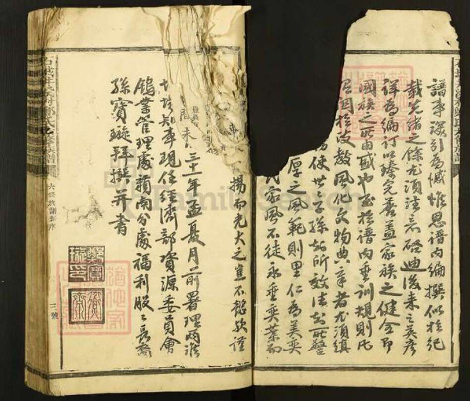 江西省赣州市石城县郑氏族谱-石城井溪村郑氏六修族谱.pdf电子版预览图2