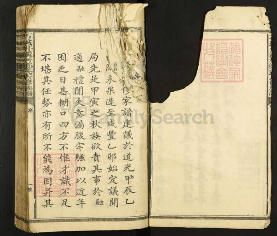 江西省赣州市石城县郑氏族谱-石城井溪村郑氏六修族谱.pdf电子版预览图3