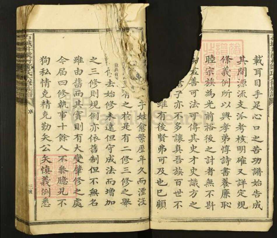 江西省赣州市石城县郑氏族谱-石城井溪村郑氏六修族谱.pdf电子版预览图5