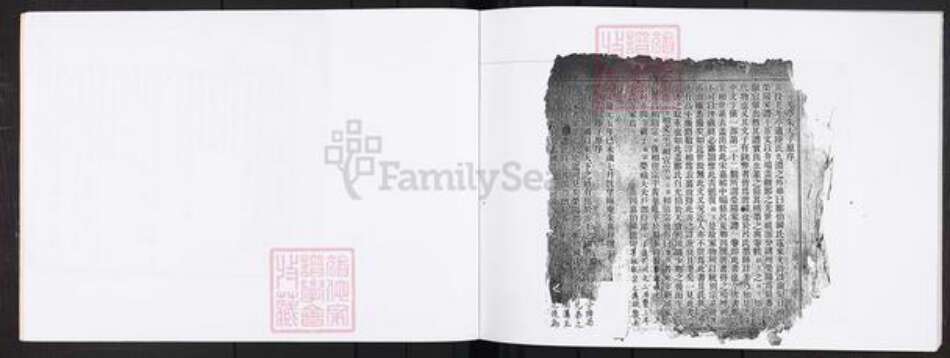 福建省龙岩市上杭县郑氏族谱-郑氏族谱.pdf电子版预览图5