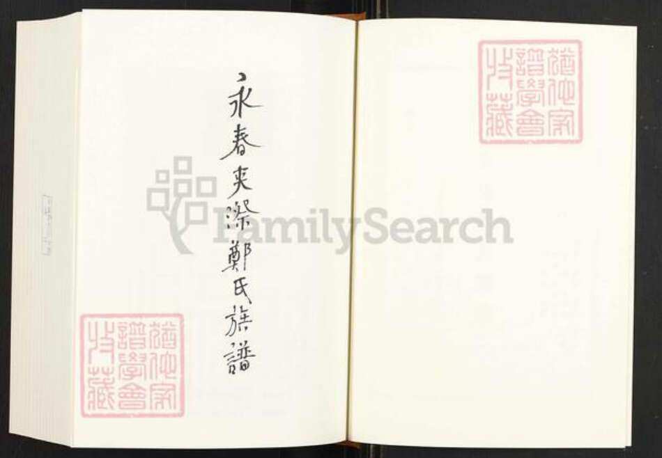 福建省泉州市永春县仙夹镇郑氏美种堂族谱-永春夹漈郑氏族谱.pdf电子版预览图2