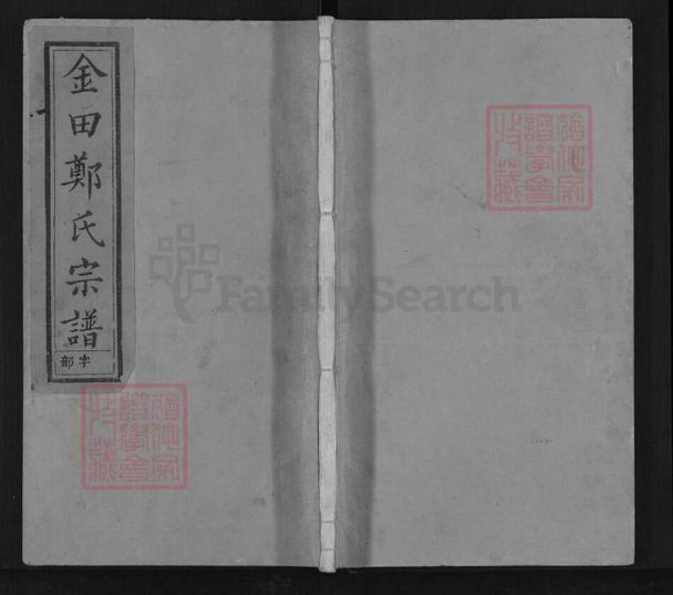 浙江省衢州江山市峡口镇郑氏瑞安堂族谱-金田郑氏宗谱.pdf电子版缩略图