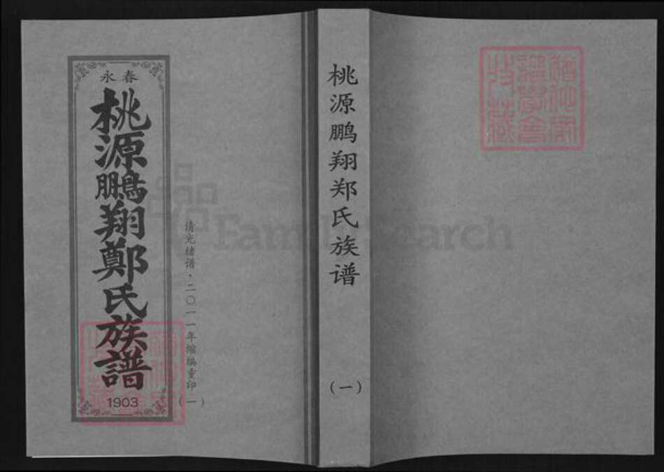 福建省泉州市永春县郑氏族谱-桃源鹏翔郑氏宗谱.pdf电子版缩略图