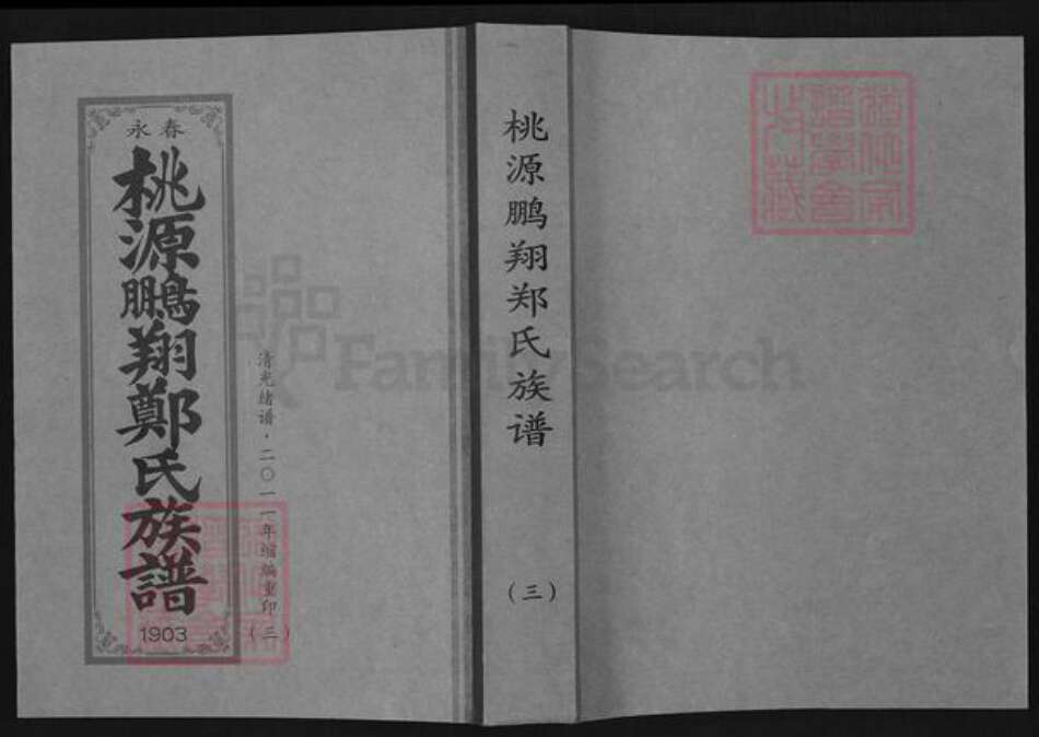 福建省泉州市永春县桃城镇郑氏族谱-永春桃源鹏翔郑氏族谱.pdf电子版缩略图
