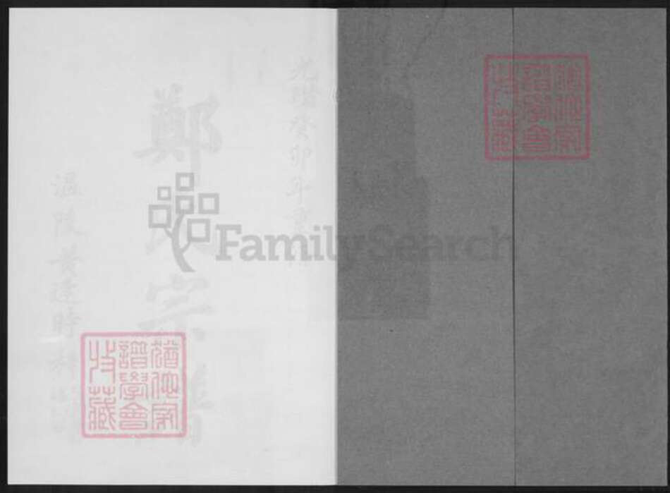 福建省泉州市永春县桃城镇郑氏族谱-永春桃源鹏翔郑氏族谱.pdf电子版预览图1