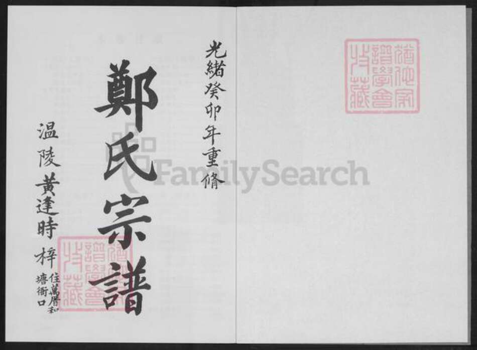 福建省泉州市永春县桃城镇郑氏族谱-永春桃源鹏翔郑氏族谱.pdf电子版预览图2