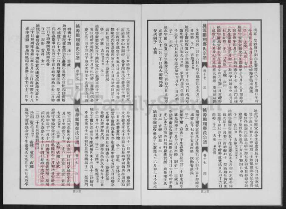 福建省泉州市永春县桃城镇郑氏族谱-永春桃源鹏翔郑氏族谱.pdf电子版预览图5