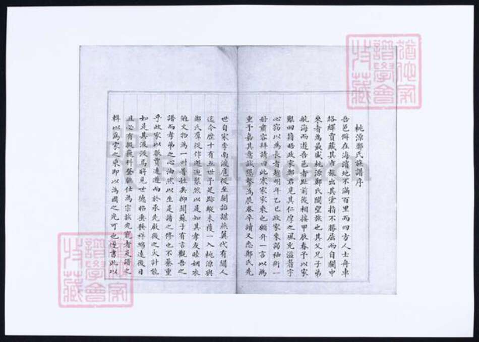 福建省泉州市永春县郑氏族谱-仁德堂郑谱录纪要本.pdf电子版预览图1