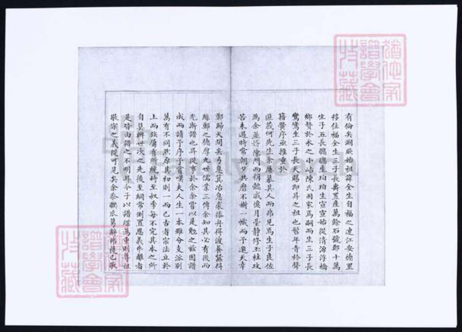 福建省泉州市永春县郑氏族谱-仁德堂郑谱录纪要本.pdf电子版预览图4