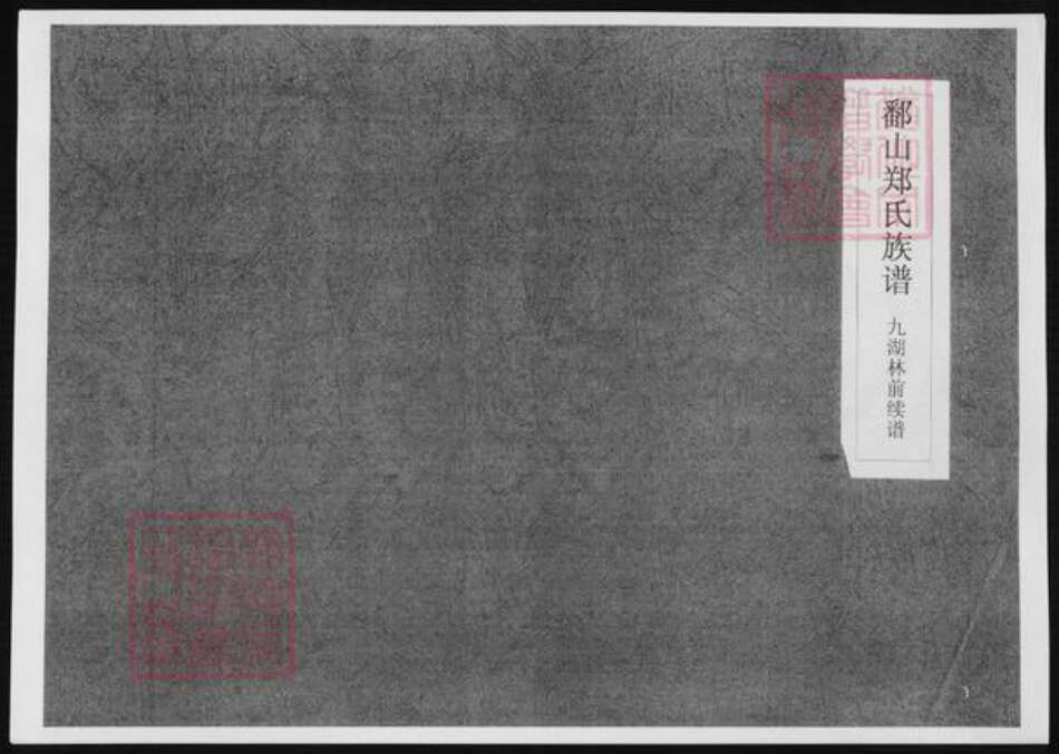 福建省漳州市郑氏族谱-鄱山郑氏族谱.九湖林前续谱.pdf电子版缩略图