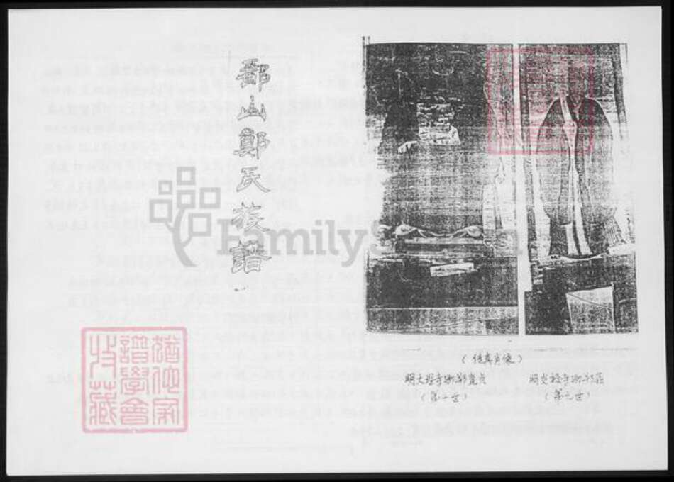 福建省漳州市郑氏族谱-鄱山郑氏族谱.九湖林前续谱.pdf电子版预览图2