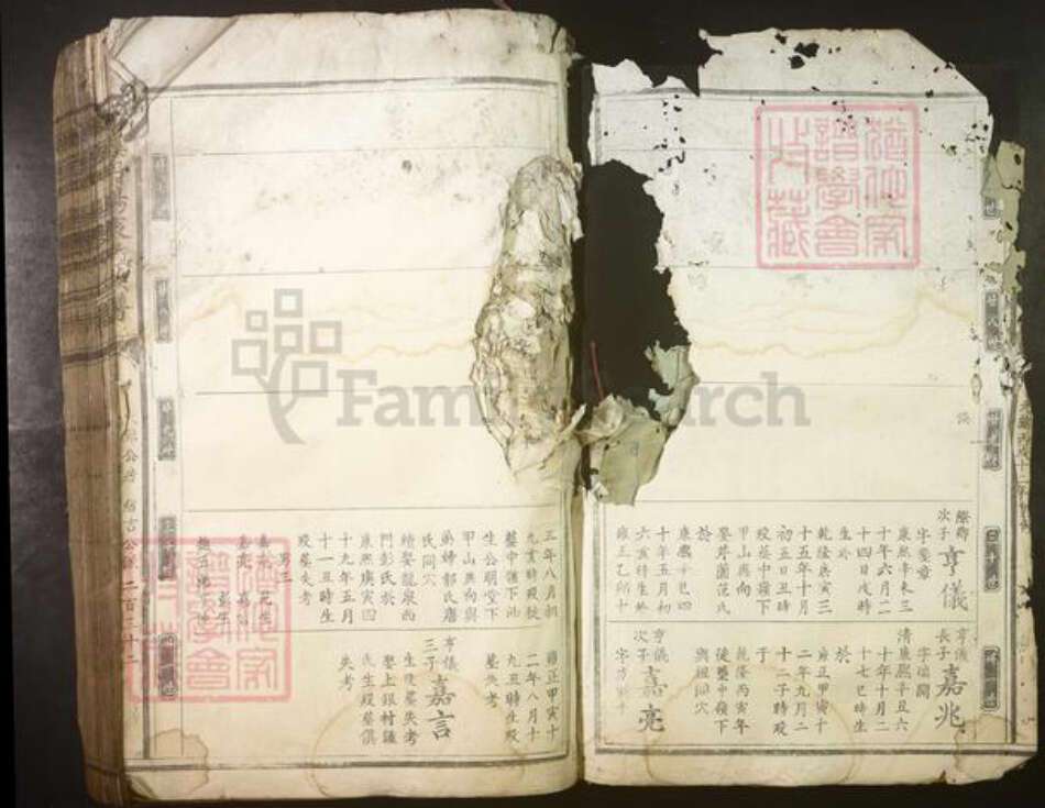 江西省赣州市衷氏族谱-麻溪丹阳衷氏族谱.pdf电子版预览图1