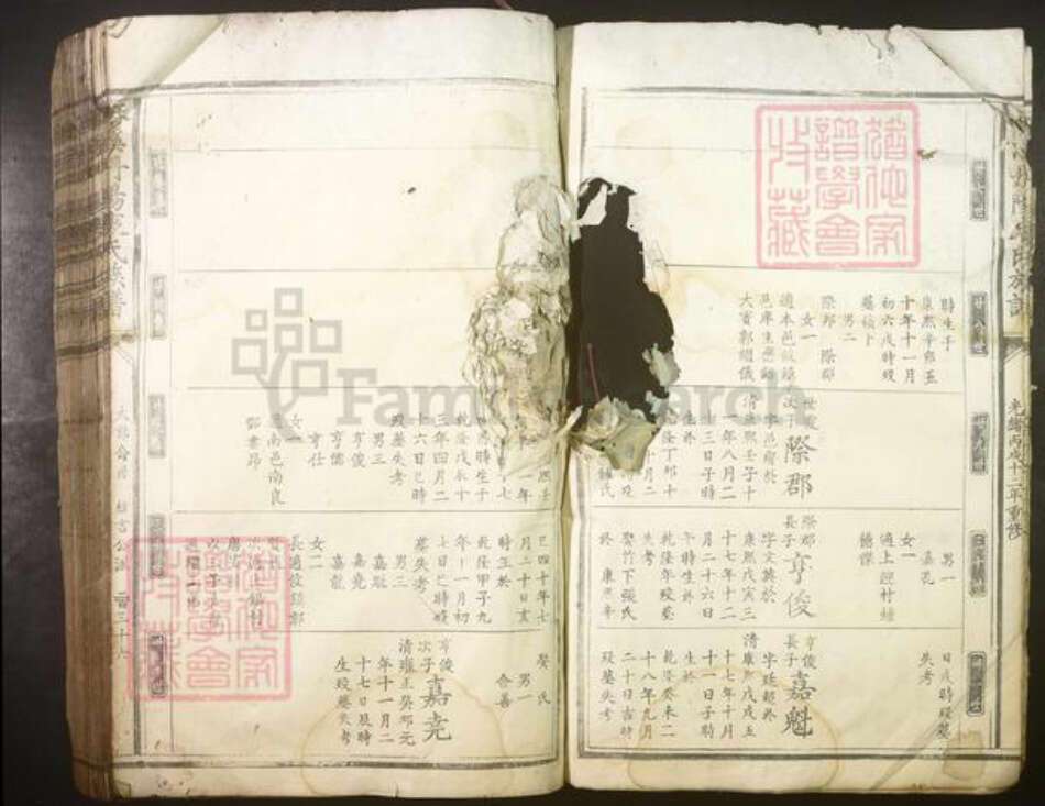 江西省赣州市衷氏族谱-麻溪丹阳衷氏族谱.pdf电子版预览图5