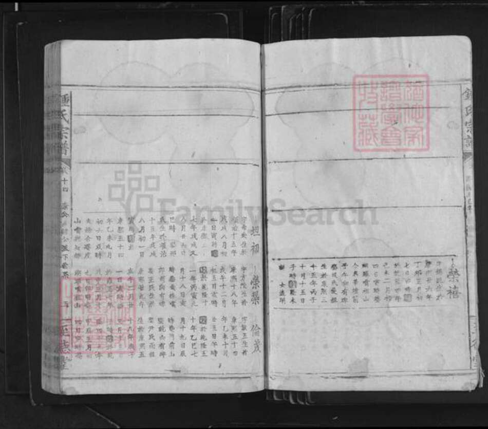 江西省吉安市泰和市苏溪镇钟氏至德堂族谱-钟氏宗谱.pdf电子版预览图5