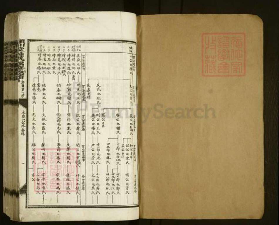 江西省赣州市兴国县钟氏颖川堂族谱-颖川堂钟氏联修宗谱.pdf电子版预览图1