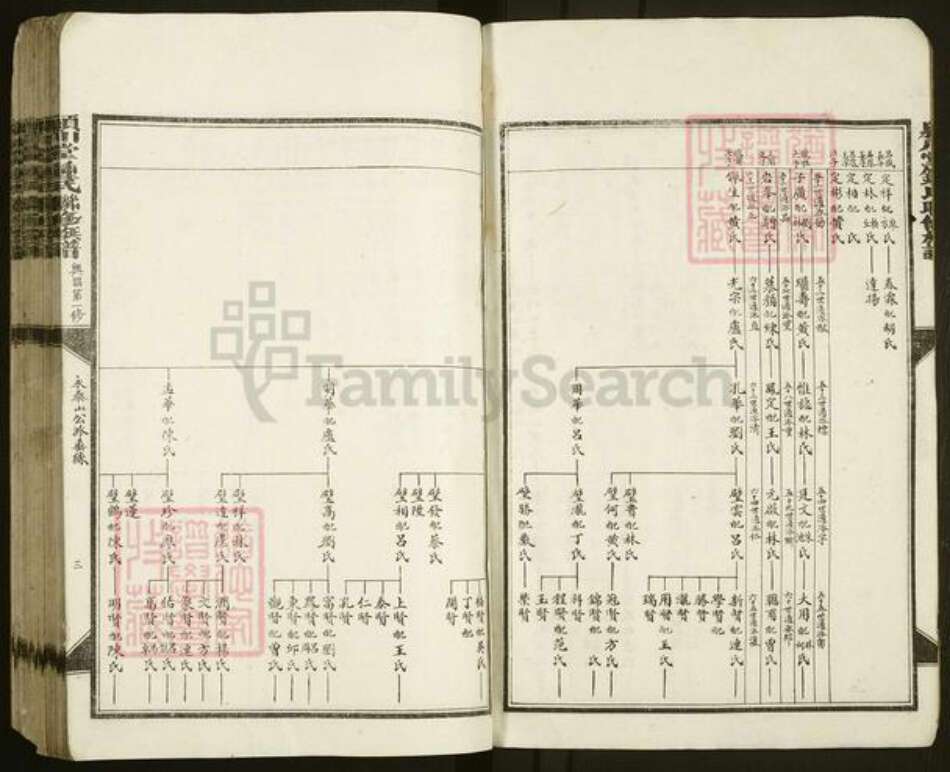 江西省赣州市兴国县钟氏颖川堂族谱-颖川堂钟氏联修宗谱.pdf电子版预览图3