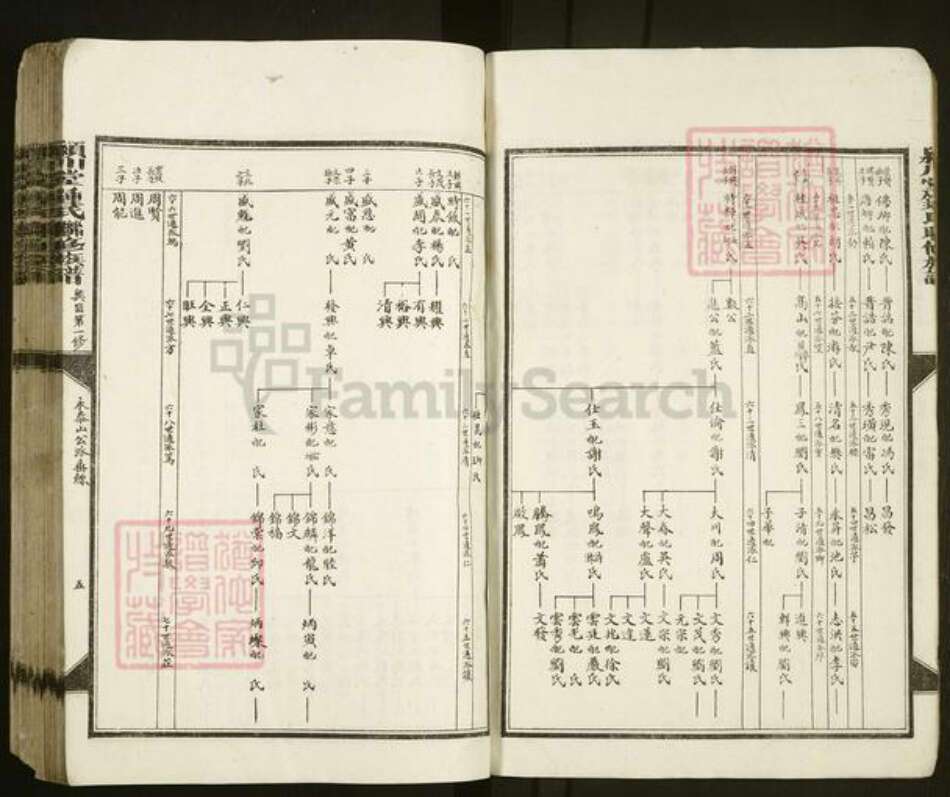 江西省赣州市兴国县钟氏颖川堂族谱-颖川堂钟氏联修宗谱.pdf电子版预览图5