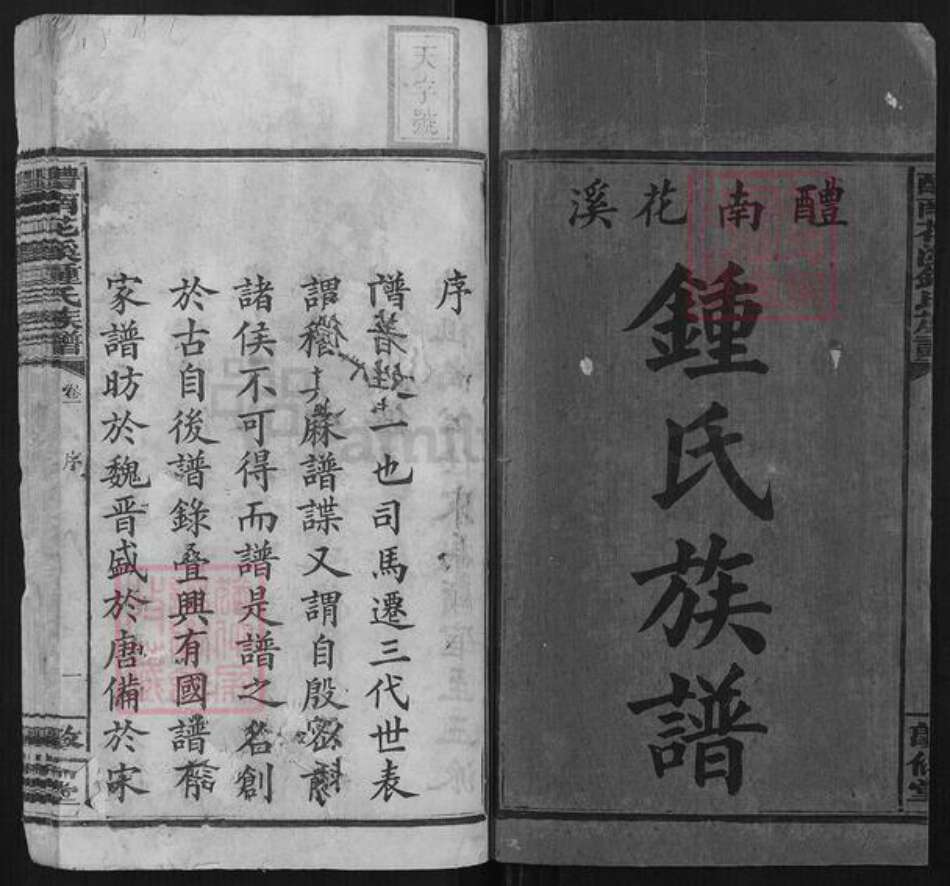 湖南省株洲市醴陵市醴陵钟氏族谱-醴南花溪钟氏族谱[12卷].pdf电子版预览图2