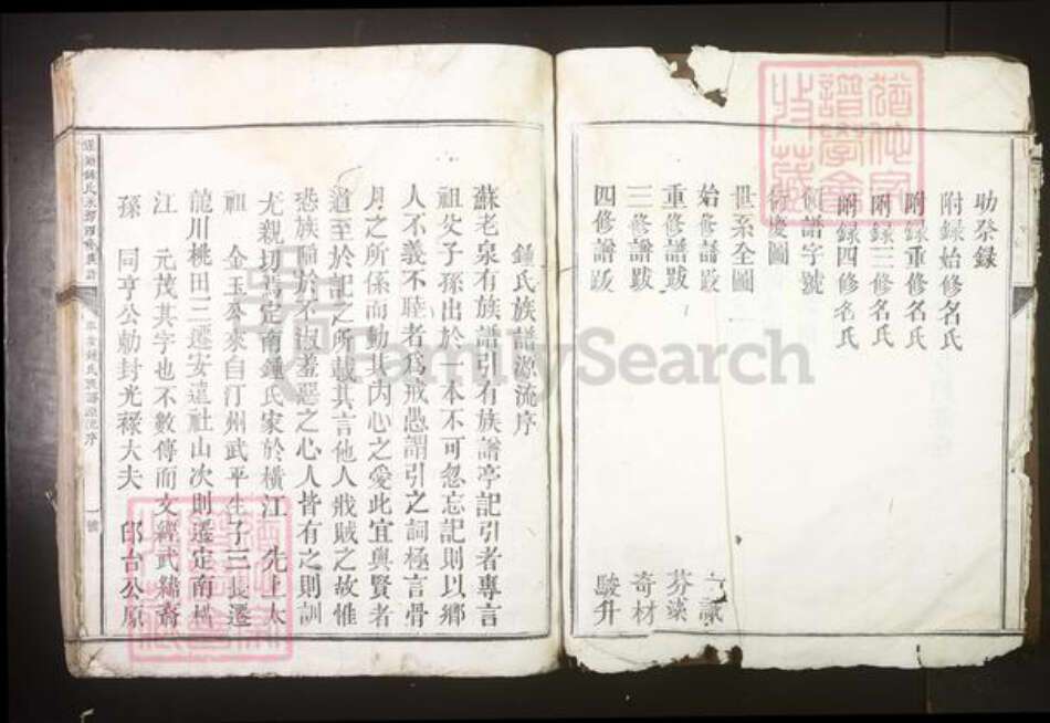 江西省赣州市定南县钟氏族谱-莲塘钟氏永房四修族谱[不分卷].pdf电子版预览图5