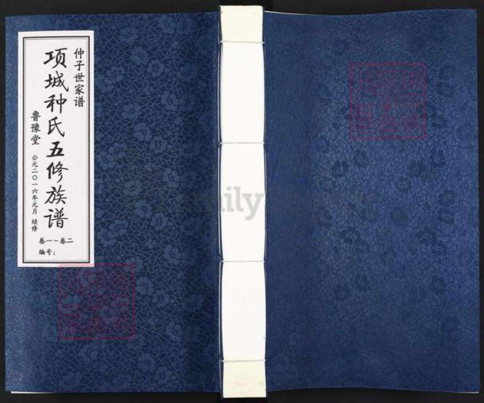河南省周口市项城市郑郭镇种氏鲁豫堂族谱-项城种氏五修族谱.家谱.pdf电子版缩略图
