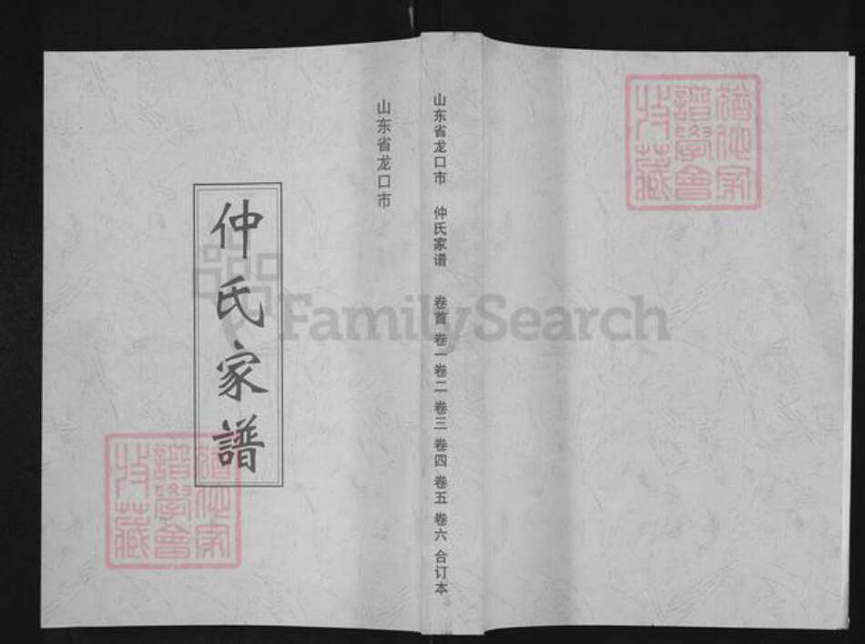 山东省烟台市龙口市北马镇仲氏族谱-仲氏家谱.pdf电子版缩略图