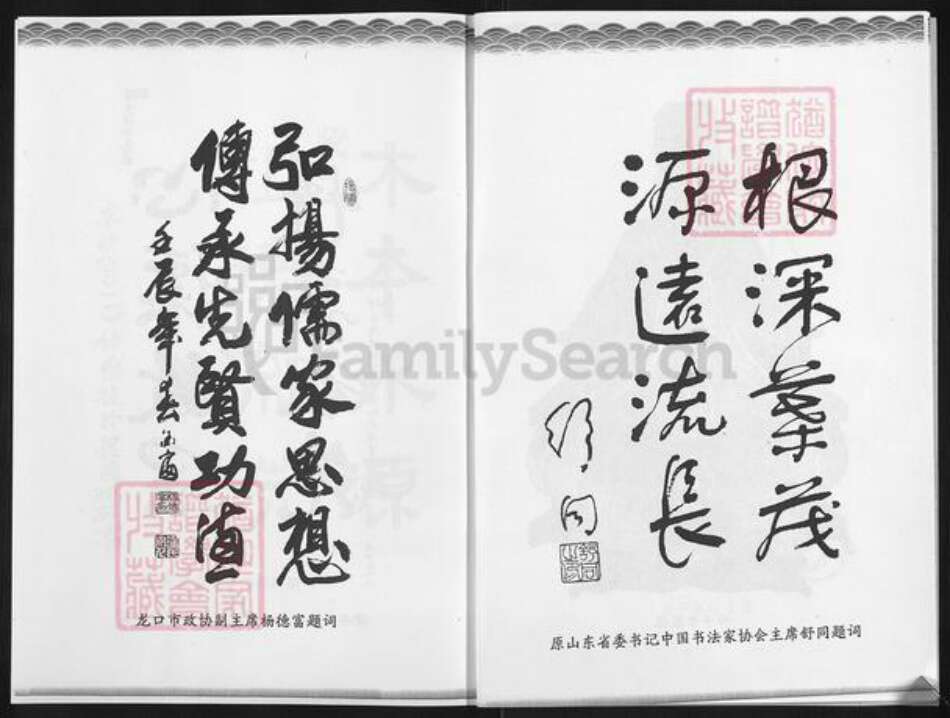 山东省烟台市龙口市北马镇仲氏族谱-仲氏家谱.pdf电子版预览图3