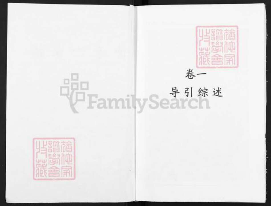 安徽省淮北濉溪县仲氏三善堂族谱-仲子世家谱.濉溪支谱.pdf电子版预览图1