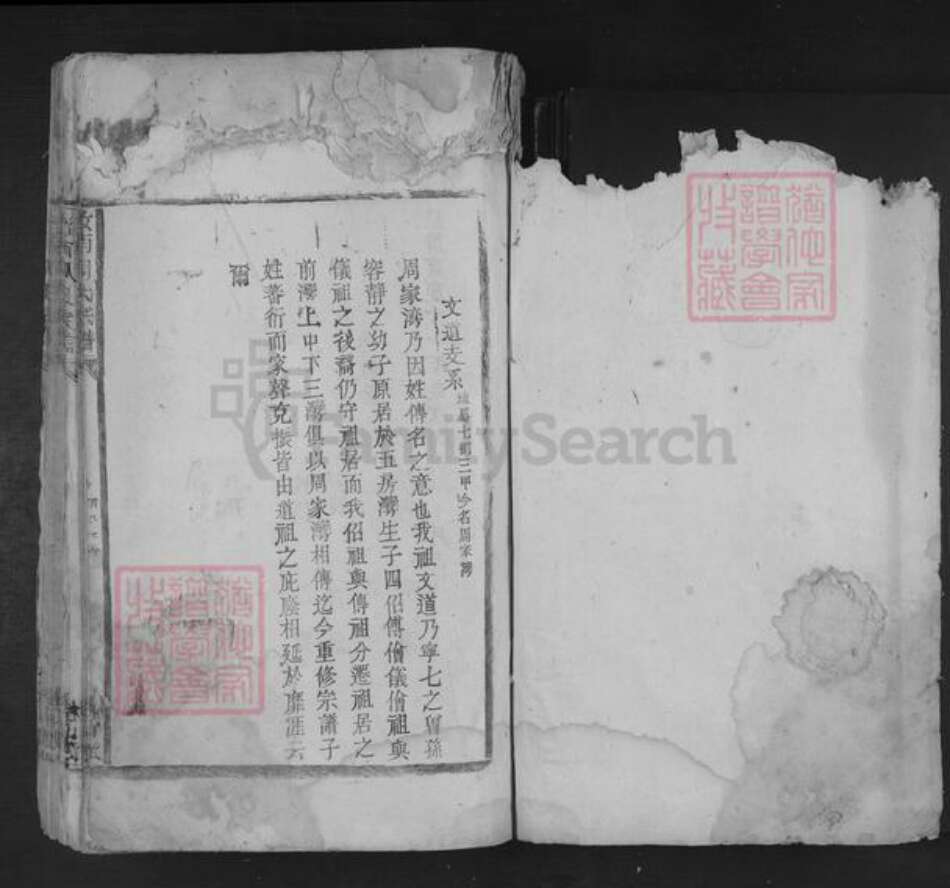 江西省九江市湖口县双钟镇周氏族谱-汝南周氏宗谱.pdf电子版预览图1