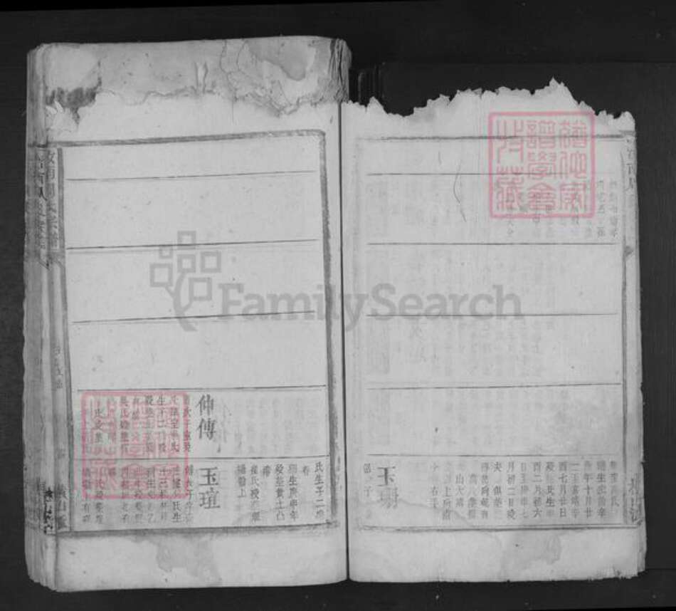 江西省九江市湖口县双钟镇周氏族谱-汝南周氏宗谱.pdf电子版预览图5