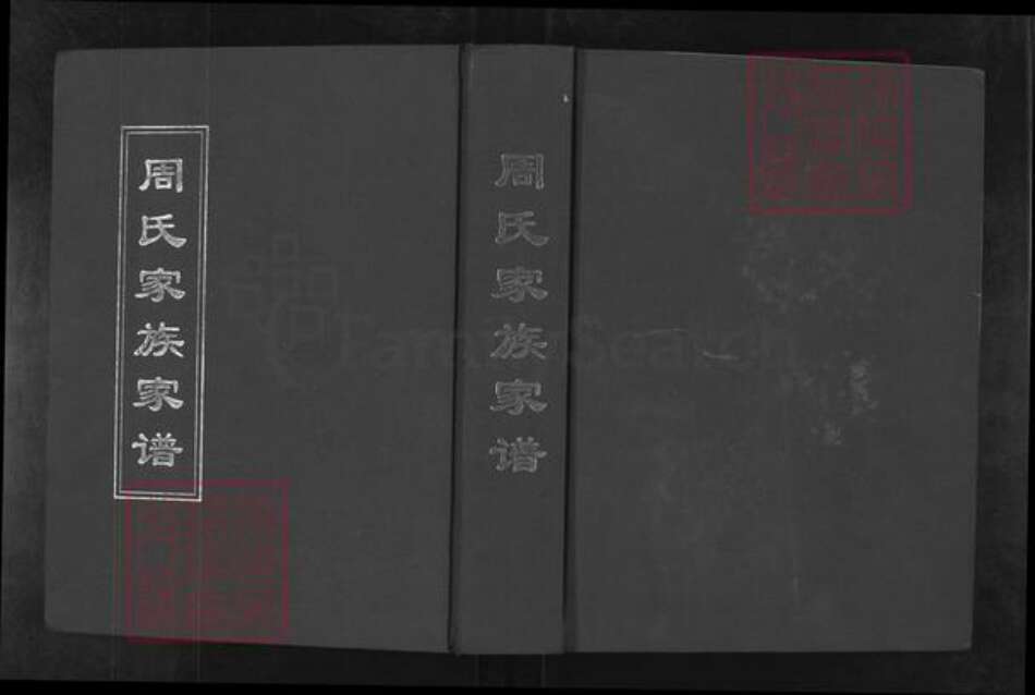 山东省潍坊市寿光市营里镇周氏族谱-周氏家族家谱.pdf电子版缩略图