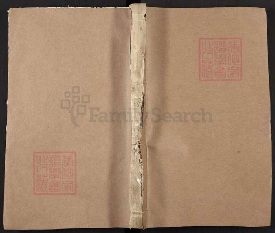 浙江省丽水市松阳县周氏族谱-周氏宗谱.pdf电子版缩略图