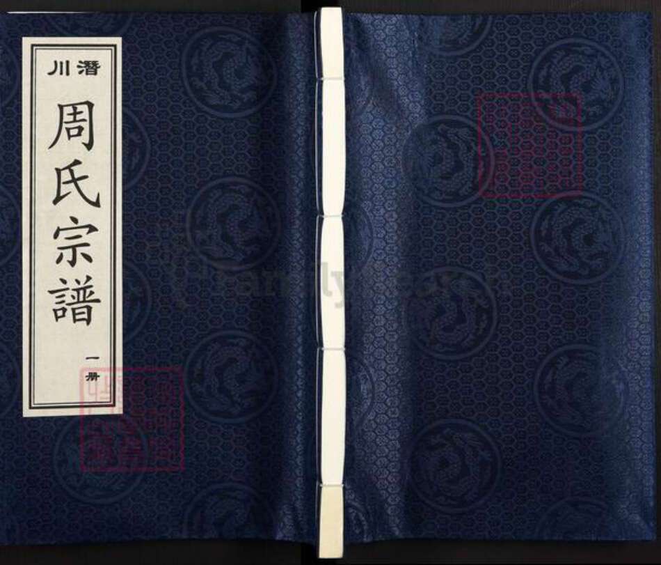 安徽省合肥市庐江县万山镇周氏爱莲堂族谱-潜川周氏宗谱.pdf电子版缩略图