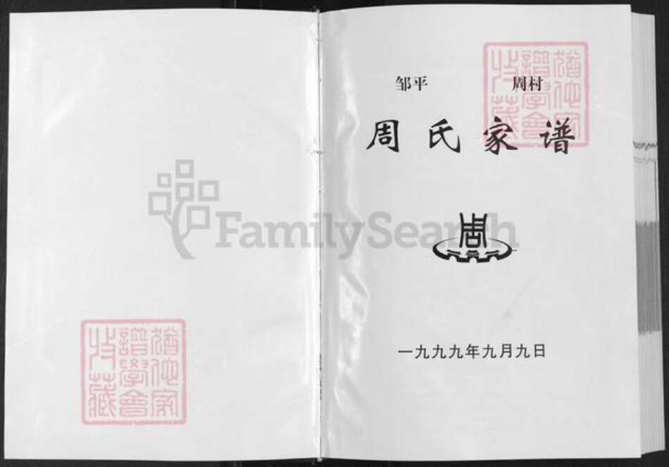 山东省滨州市邹平市周氏族谱-周氏家谱.pdf电子版预览图2