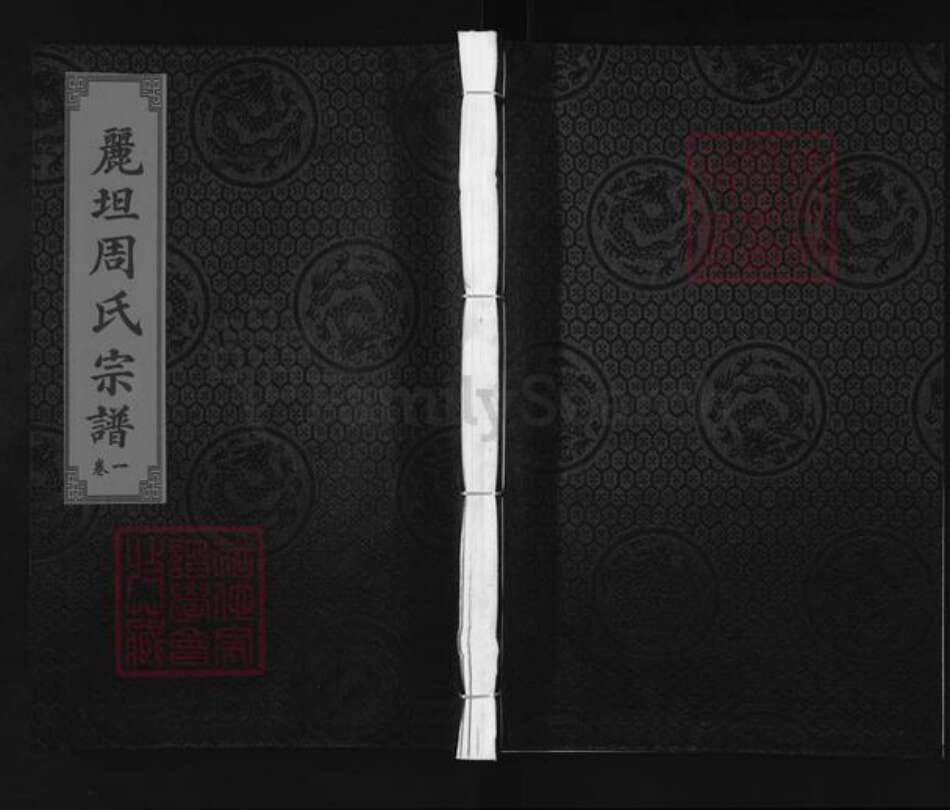 浙江省衢州江山市清湖镇周氏族谱-丽坦周氏宗谱.pdf电子版缩略图