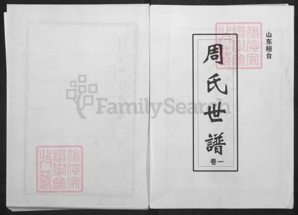 山东省淄博市桓台县新城镇周氏族谱-周氏世谱.pdf电子版缩略图