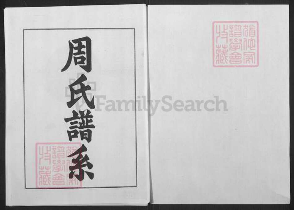 山东省淄博市桓台县新城镇周氏族谱-周氏世谱.pdf电子版预览图1