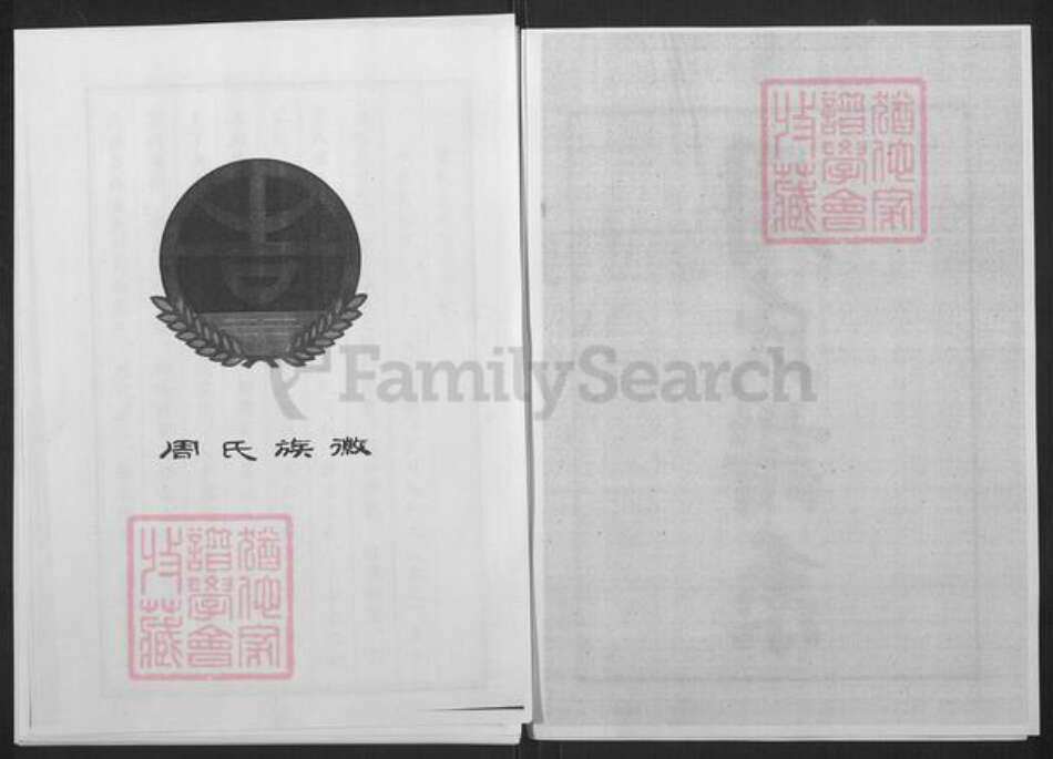 山东省淄博市桓台县新城镇周氏族谱-周氏世谱.pdf电子版预览图2