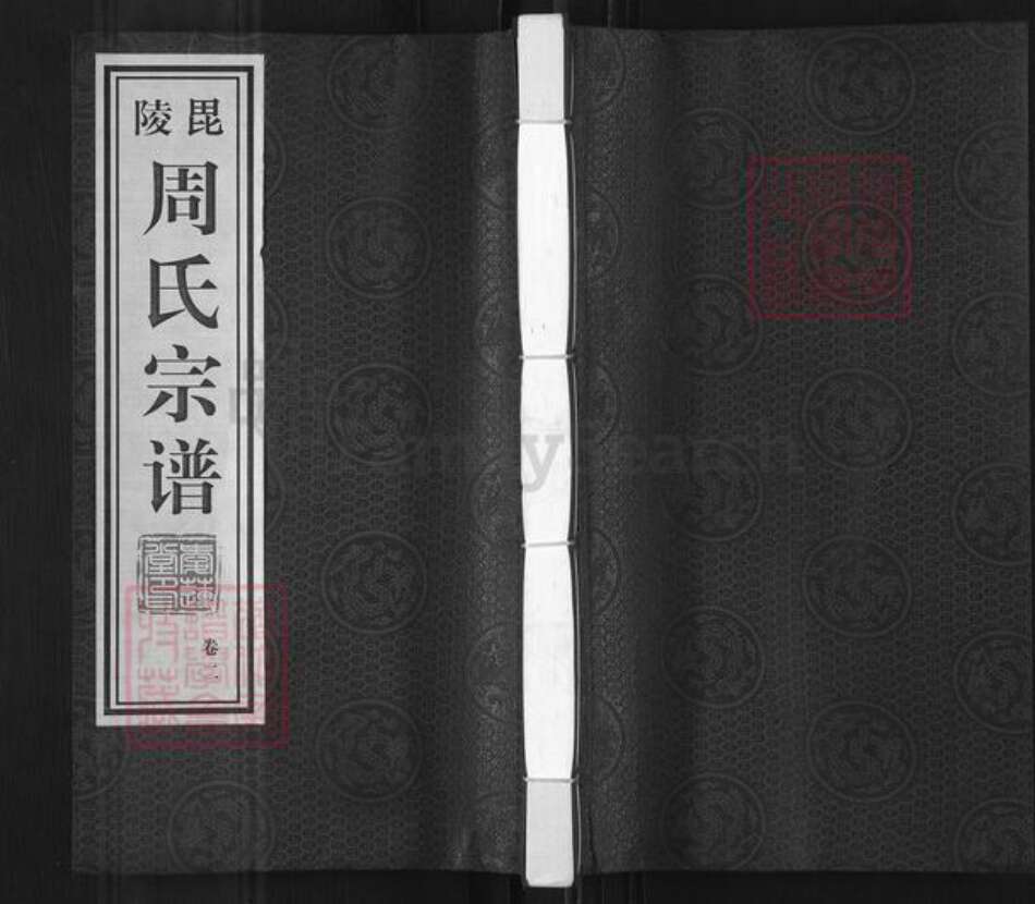 江苏省常州市武进县周氏爱莲堂族谱-毘陵周氏宗谱.pdf电子版缩略图