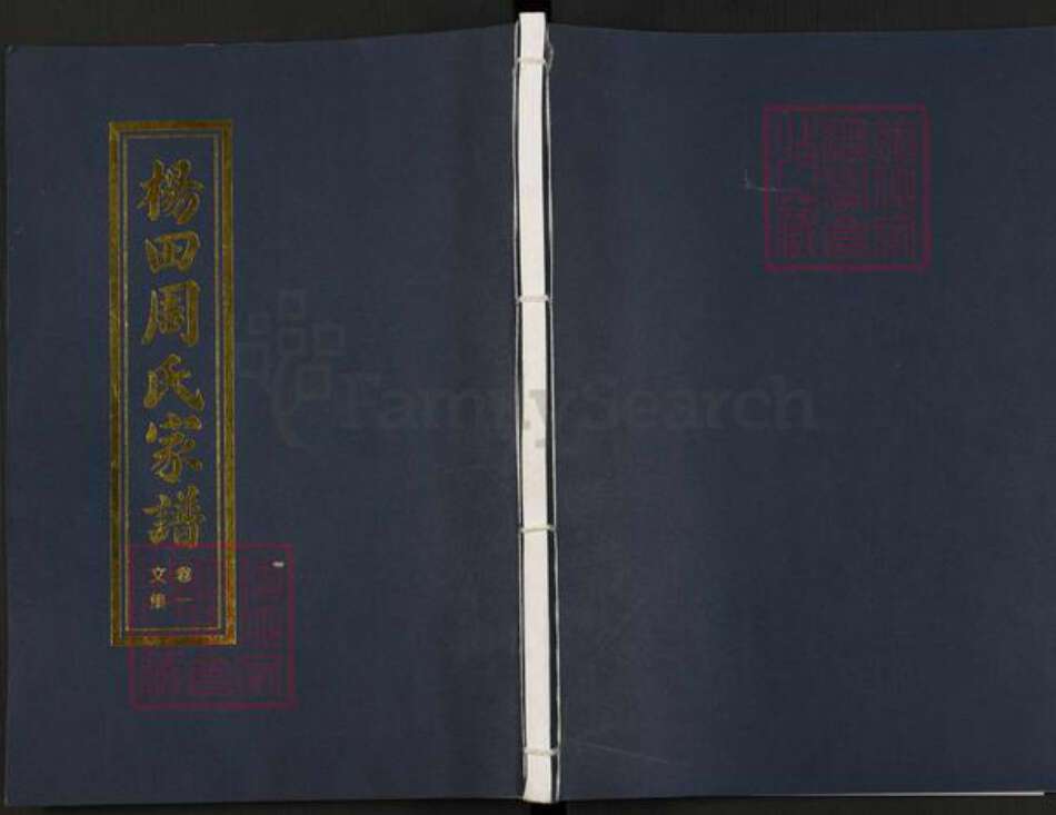 浙江省金华市浦江县周氏族谱-杨田周氏家谱.pdf电子版缩略图