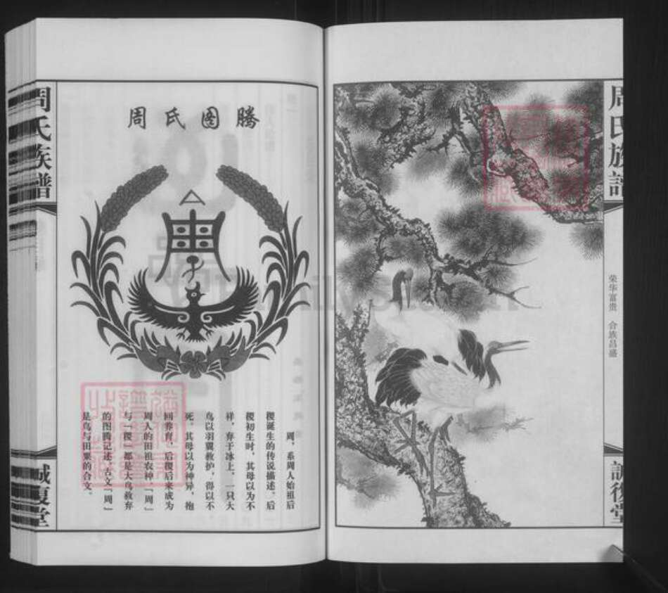 江苏省无锡市周氏诚复堂族谱-沙滩周氏宗谱.pdf电子版预览图3