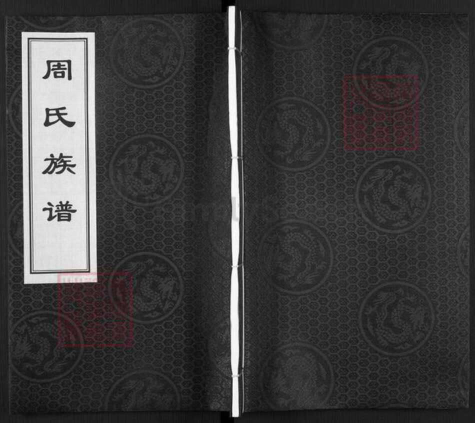 湖南省邵阳市邵东市廉桥镇周氏族谱-周氏族谱.pdf电子版缩略图