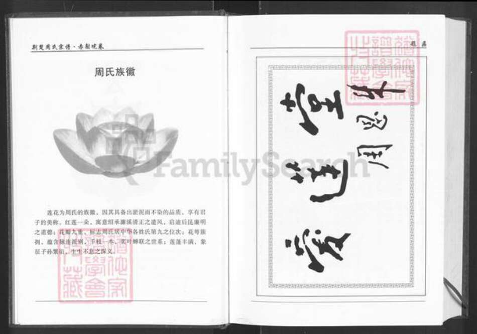 湖北省荆州市监利县周氏汝南堂族谱-荆楚周氏宗谱.赤射垸卷.pdf电子版预览图3