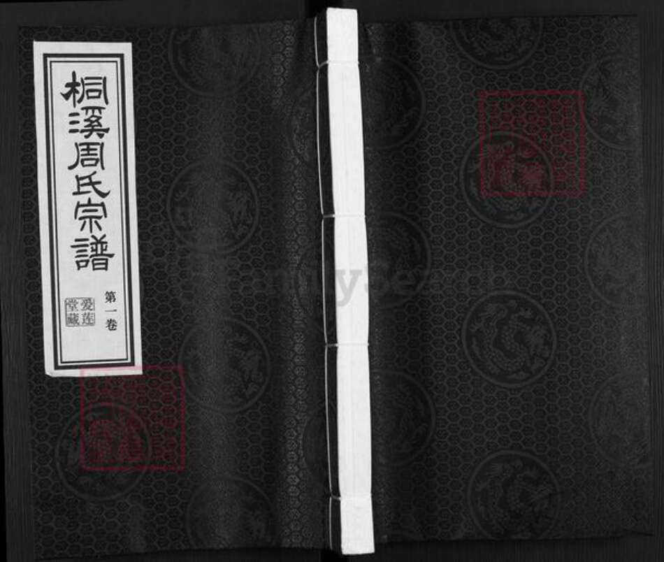 江苏省无锡市江阴市青阳镇周氏爱莲堂族谱-桐溪周氏宗谱.pdf电子版缩略图